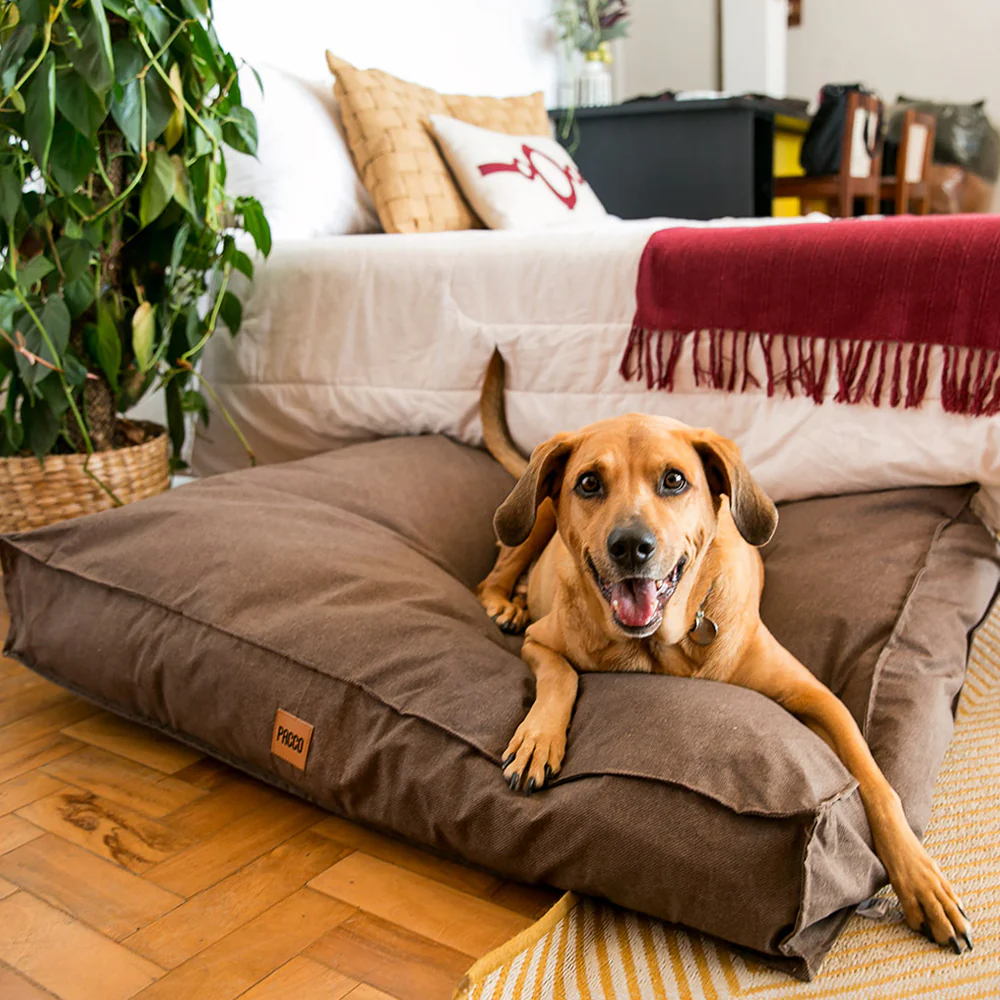 Acessórios e camas confortáveis